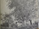 Small Faces - There Are But Four Small Faces - 1967 USA B&W label Immediate LP