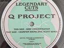 Q PROJECT 