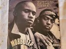 Mobb Deep - Survival Of The Fittest 12