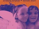 The Smashing Pumpkins -  SIAMESE DREAM - 2011 Vinyl 2xLP - Mint