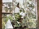 Clean Bandit | New Eyes | Double Vinyl | Sealed