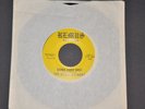 The Heart Attacks Remus 5000 Babba Diddy Baby b/w I'm Angry Baby Garage 1965 NM