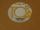Hal Miller And The Rays  45  An Angel Cried    Topix   1961