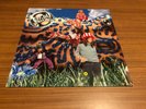 JELLYFISH Bellybutton LP Vinyl 1991 European Press VERY RARE OOP