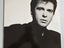 PETER GABRIEL So LP Lyric Inner Sleeve 33rpm 12