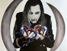 A Perfect Circle Eat The Elephant LP Vinyl Punk Rock Metal Alternative 2LP