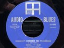 HEAR EX • MODEL T SLIM you're growing old baby/somebody voodooed the hoodooman