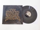 Colin Meloy (Decemberists) - The Stars Did Wander Darkling - RARE Vinyl LP