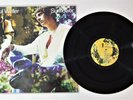 Paul Weller Sunflower 12