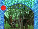 LP CREEDENCE CLEARWATER REVIVAL OMONIMO, SAME 025218451215
