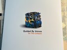 Do The Collapse by Guided By Voices (Vinyl, 1999, TVT Records)