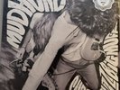 Mudhoney - Superfuzz Bigmuff Vinyl LP 2009 Reissue w/ Poster Sub Pop SP21 MINT