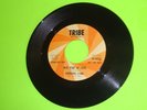 Rare Soul Barbara Lynn I Don't Want A Playboy/New Kind Of Love Tribe 8324 Promo