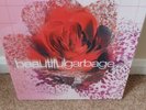 Garbage - Beautiful Garbage - Deluxe Vinyl 3LP Box Set