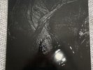 Cocteau Twins *The Pink Opaque* NM Copy, LP 1986 Vinyl