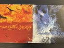 Poison The Well - Opposite Of December Tear From The Red Pink White Vinyl 2xLP