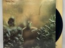 Steely Dan - Katy Lied - 1975 US 1st Press Album (NM) Ultrasonic Clean