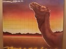 Camel - Breathless