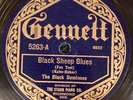 Gennett 5263 BLACK DOMINOES Black Sheep Blues Jazz 78 rpm E 1923 MIFF MOLE