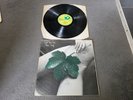 East Of Eden New Leaf Lp uk  Harvest SHVL 796 A3 - B3 1st Press
