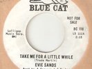 EVIE SANDS Take Me For A Little While Run Home BLUE CAT PROMO NORTHERN SOUL 45