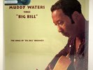 Muddy Waters - Sings Big Bill Broonzy LP - Chess / Speakers Corner - Sealed - S6