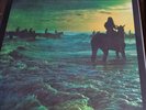 FOALS Holy Fire limited edition vinyl box set
