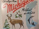 Sufjan Stevens - Michigan vinyl LP (Near Mint)