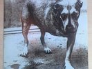 ALICE IN CHAINS - Self tittled, tripod VINYL NEW