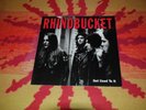 Rhino Bucket - Get Used To It, Reprise 7599-26957-1, Vinyl LP NM Rare