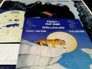 Tygers Of Pan Tang - ‎Spellbound 1981 Italy press + poster + merchandise Mint