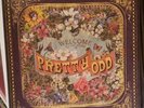 Panic At The Disco – Pretty Odd - LP Vinyl Record 12