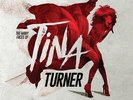 Various - Many Faces Of Tina Turner Vinyl