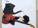 MIDORI ミドリ Shimizu: Spring Water 清水 LP 2007 Mariko Goto Japanese Punk Obi Insert