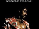 Syl Johnson - Diamond In The Rough [New Vinyl LP]