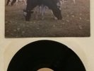 Pink Floyd THE DARK SIDE OF THE MOO LP the screaming abdabs NUOVO
