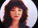 KATE BUSH Live At Hammersmith Odeon 1979 Original Picture Disc LP