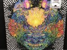 MEATBODIES Vinyl LP Fuzz Ty Segall Together Pangea Wand Oh Sees Psychedelic