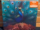 * OPETH - Sorceress, Ltd Import 4x10