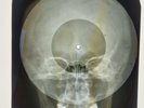 Beatles - Money X-RAY SKULL BONES RECORDS USSR 344