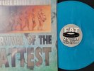 Survival of the Fattest by Various Artists Colored Web Store Fat Wreck Chords