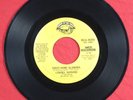Lynyrd Skynyrd Sweet Home Alabama / Take Your Time - 45 RPM MCA-40258 - VG RARE