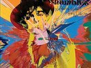 Nothing Comes to Nothing,  Babyshambles 7