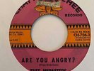 Chicano Sweet Soul/Garage 45 THEE MIDNITERS Are You Angry?/I Found A Peanut HEAR