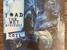Toad The Wet Sprocket COIL New Vinyl Record Fear Dulcinea IMPORT