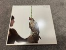 Dave Hause Devour Clear Vinyl LP Record