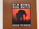 SLO BURN - Amusing The Amazing 10