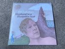 BILL CALLAHAN - SHEPHERD IN A SHEEPSKIN VEST 2x 12” VINYL RECORD LP