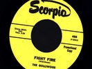 Golliwogs Fight Fire/Fragile Child 1966 Garage Psych Scorpio 405 VG+ promo