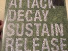 Simian Mobile Disco ‎– Attack Decay Sustain Release-Ltd Ed 2017 Reissue Vinyl